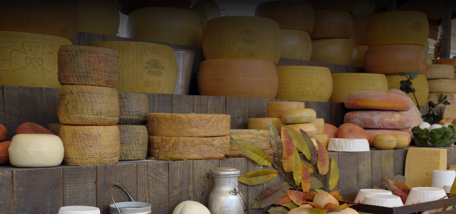 El Pampero || Distribuidora Mayorista